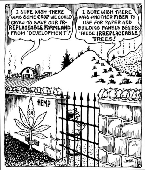 Hemp Prison copy