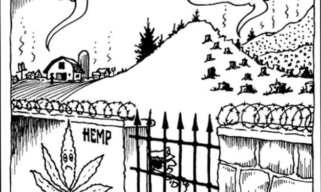 Hemp Plastics Now!