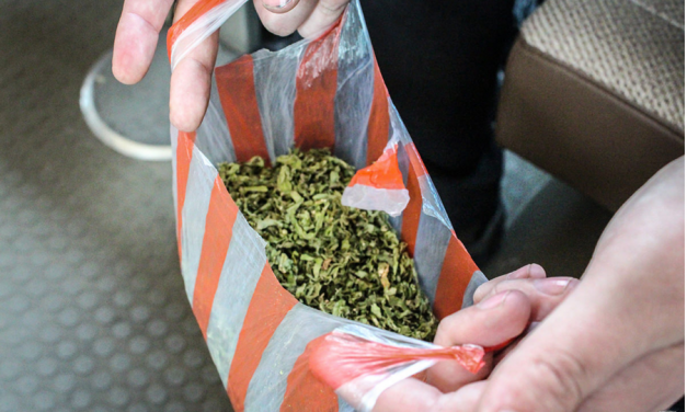Cannabis in North Korea: an Update