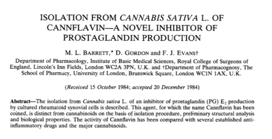 Paper by Marilyn Barrett and colleagues in  “Biochemical Pharmacology,” June 1985 described the isolation of Cannflavin, the first in a new group of diprenylated flavones. 