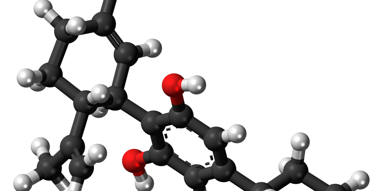 Mass Production of ‘Minor’ Cannabinoids —via Yeast
