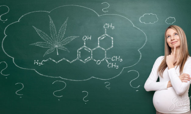 CDC Finds MJ Use in Pregnancy does not lead to lower birth weight