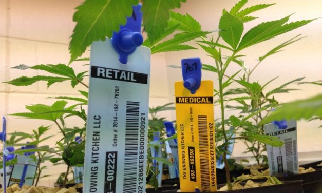 Another Kind of Harm Reduction