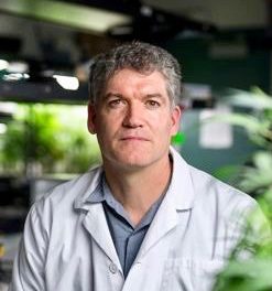 Cannabis research is budding