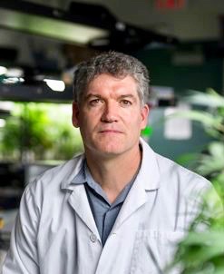 Cannabis research is budding