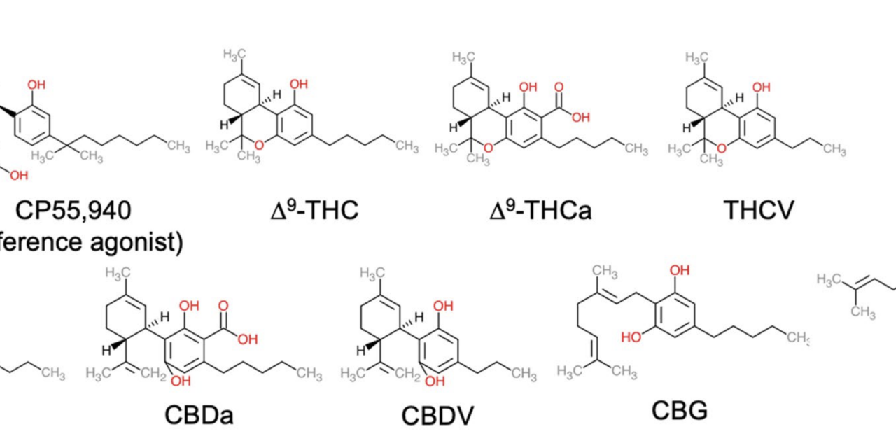 Activity of 9 Cannabinoids Measured