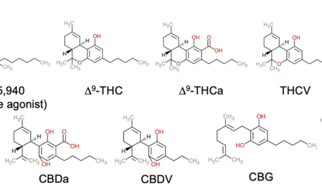 Activity of 9 Cannabinoids Measured