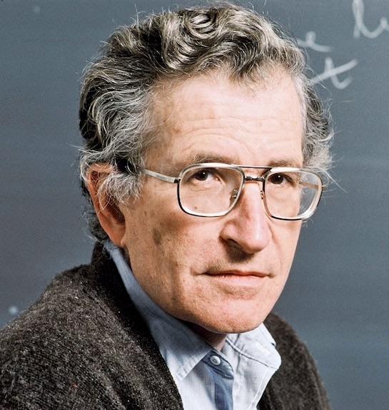 Chomsky/Mechoulam